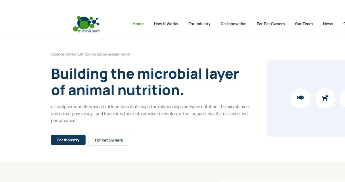 microXpace pagrindinis puslapis kompiuterio ekrane